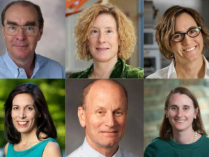Six from Duke Named Fellows of the American Association for the Advancement of Science (AAAS)